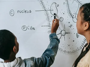 best home tutors in pune